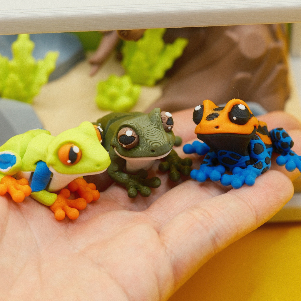 69128a9eaba6d113bfcf572d_frog-set-4_1764335837018.jpg
