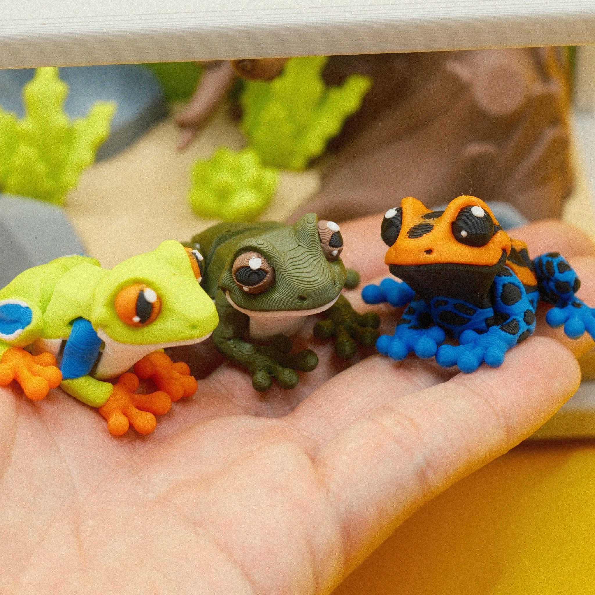 69128a9eaba6d113bfcf572d_frog-set-4_1764335837018.jpg