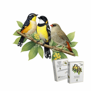 69a53347e6f476195c1e68ac_australiansongbirds-1_1792368895975.png