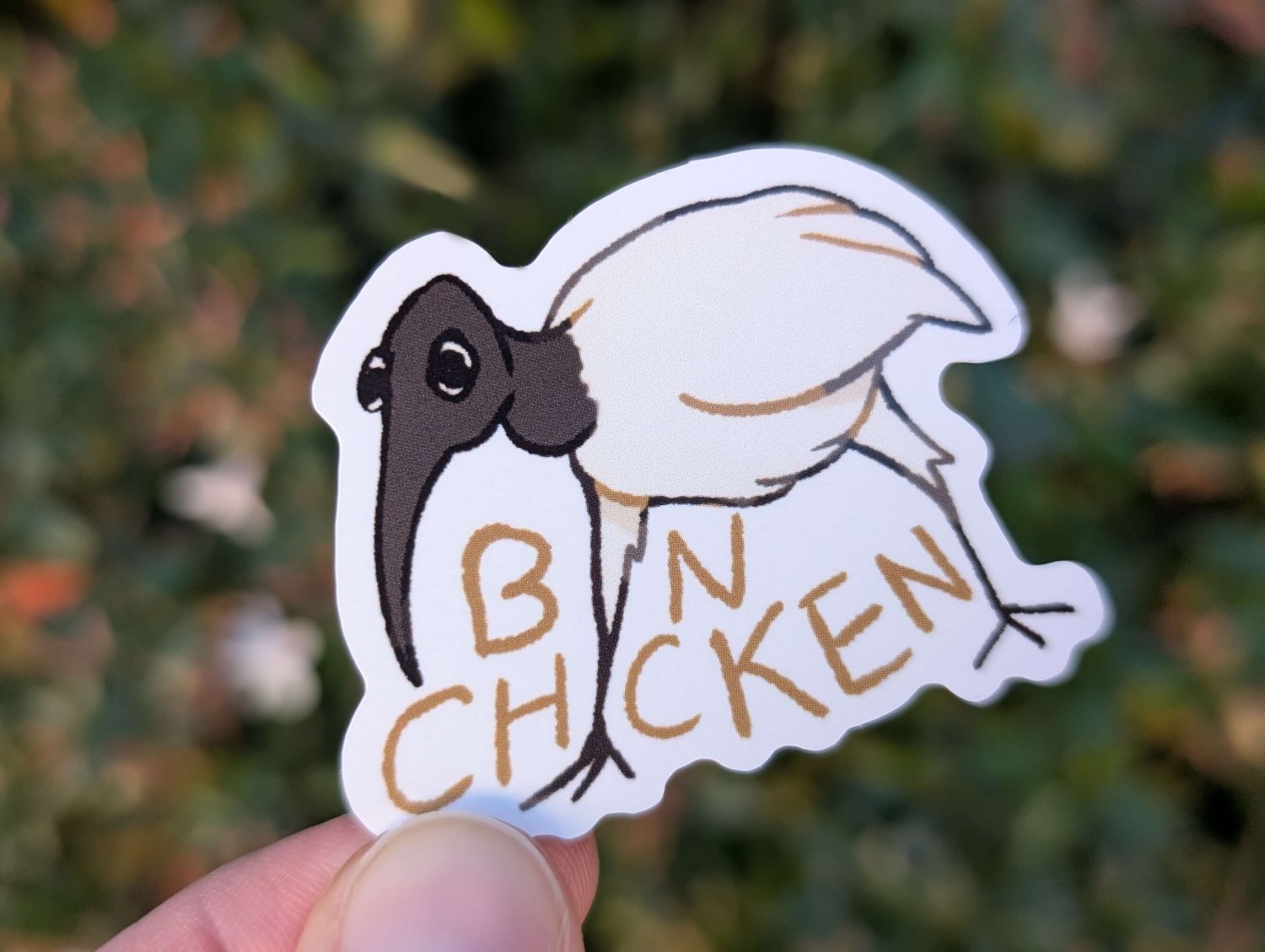 69a53347e6f476195c1e68ac_bin-chicken-mockup_1780572013736.jpg