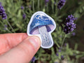 69a53347e6f476195c1e68ac_blue-webcap-mockup_1779944928563.jpg