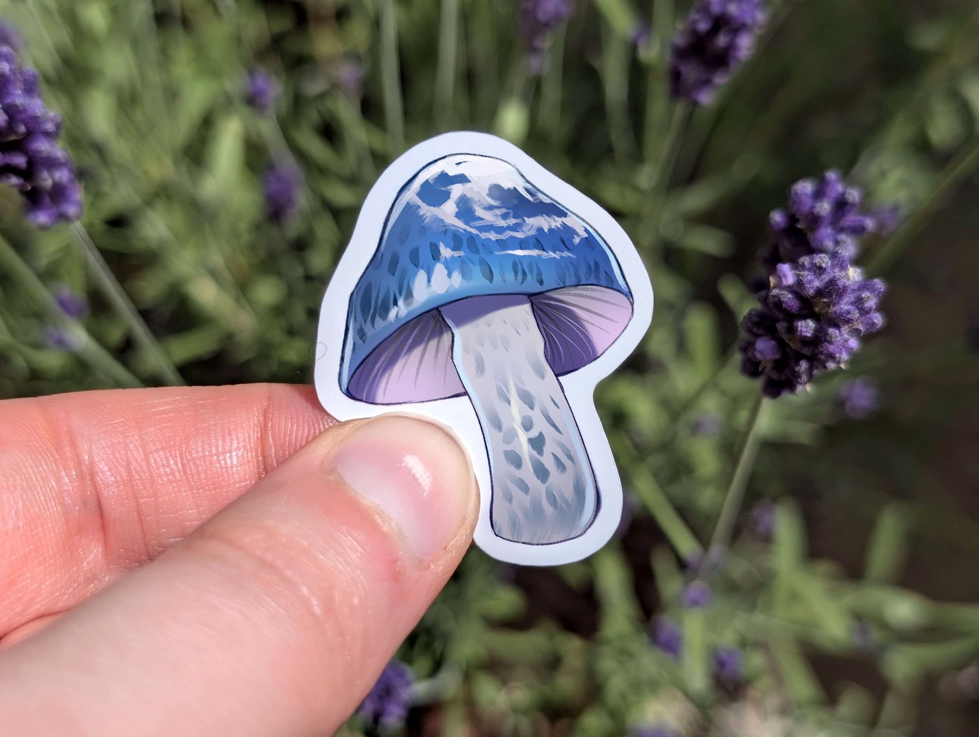 69a53347e6f476195c1e68ac_blue-webcap-mockup_1779944928563.jpg