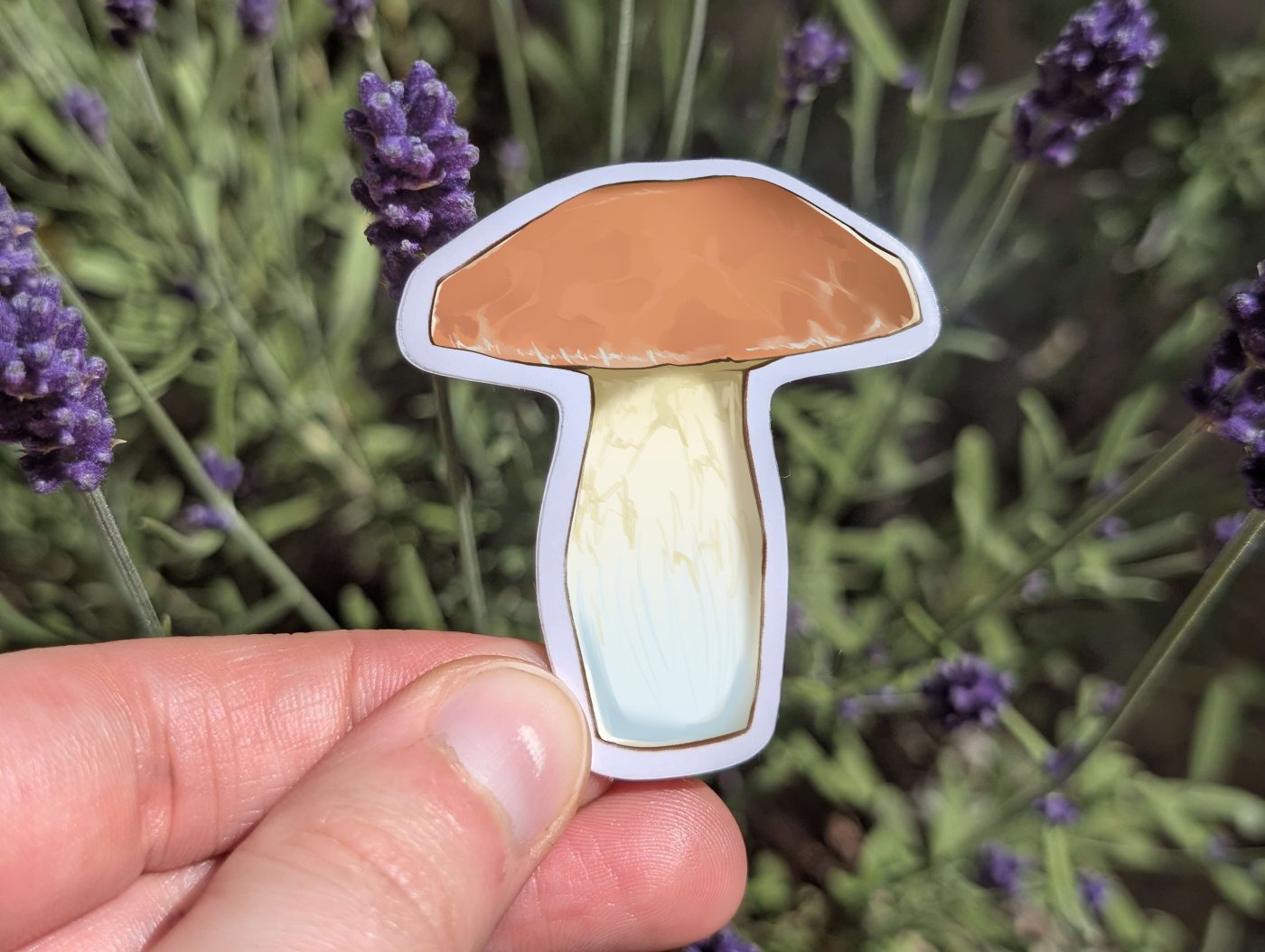 69a53347e6f476195c1e68ac_brown-cap-mushroom_1779944005462.jpg