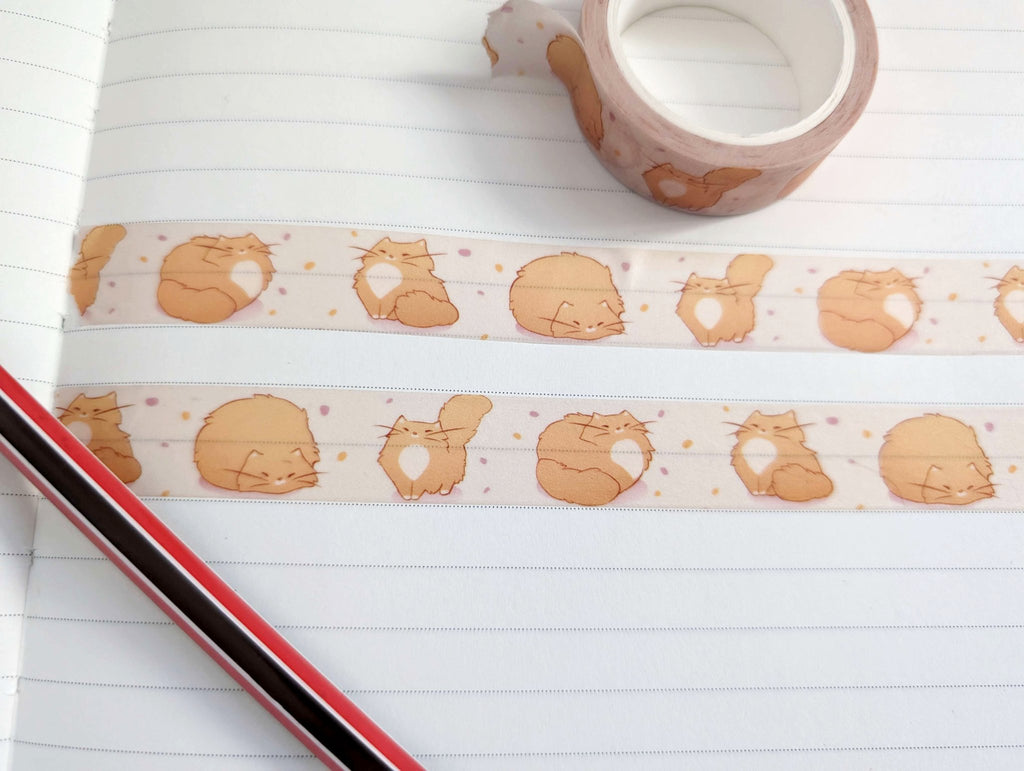 69a53347e6f476195c1e68ac_cat-washi-tape-2_1780483414662.jpg
