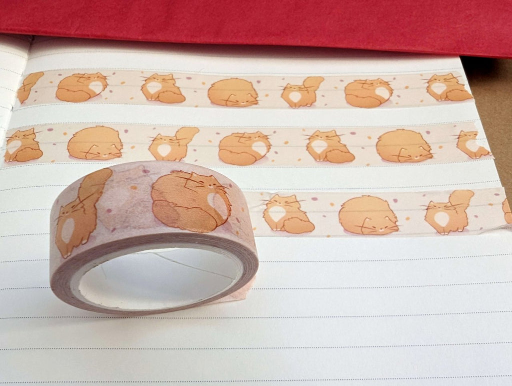 69a53347e6f476195c1e68ac_cat-washi-tape-3_1780483414661.jpg