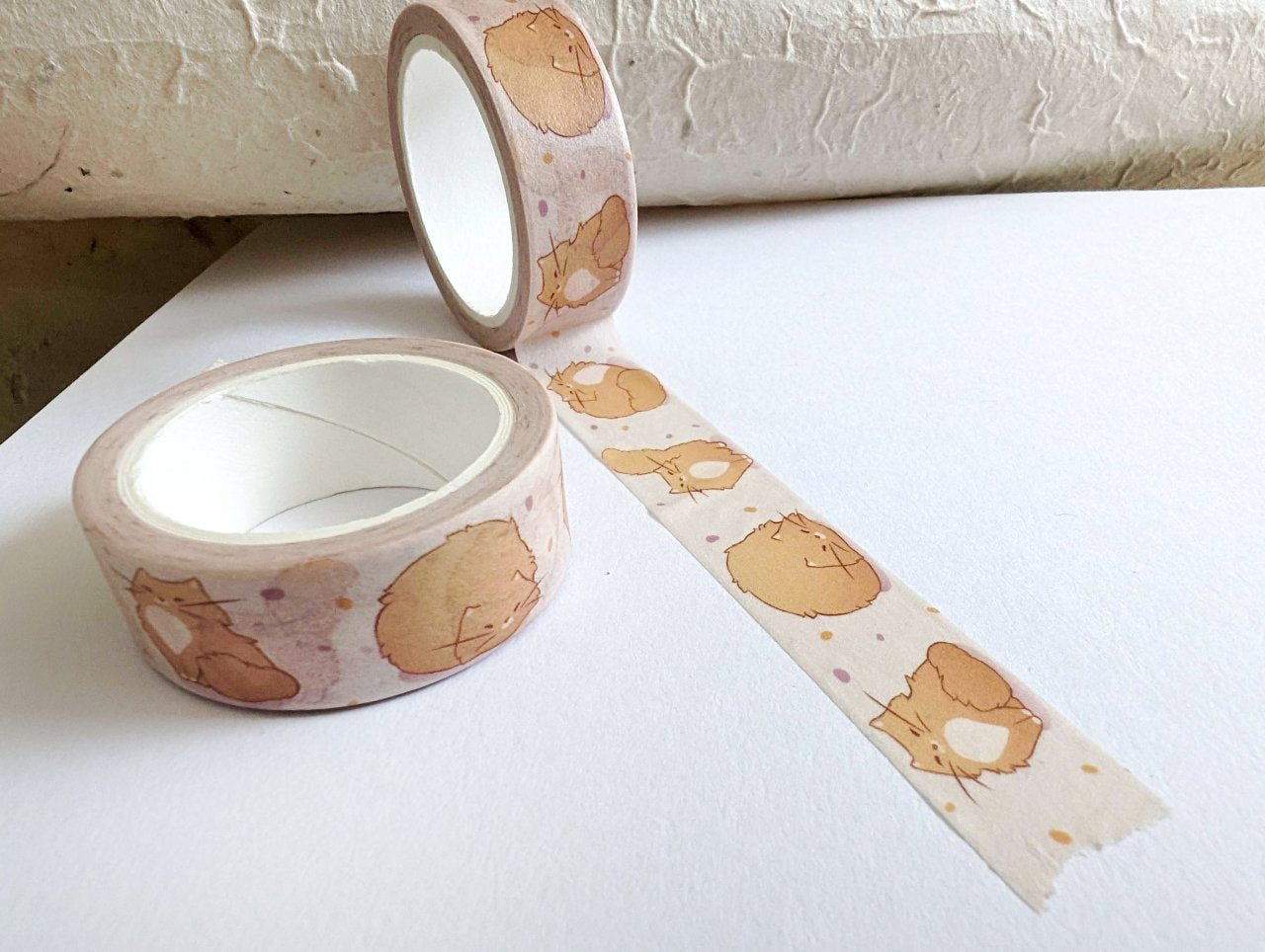 69a53347e6f476195c1e68ac_cat-washi-tape-5_1780483414661.jpg