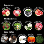 69a53347e6f476195c1e68ac_deliciosa-19e2ba13-cd48-41cb-9ba1-0e82c8c6ef3a_1785983587239.png