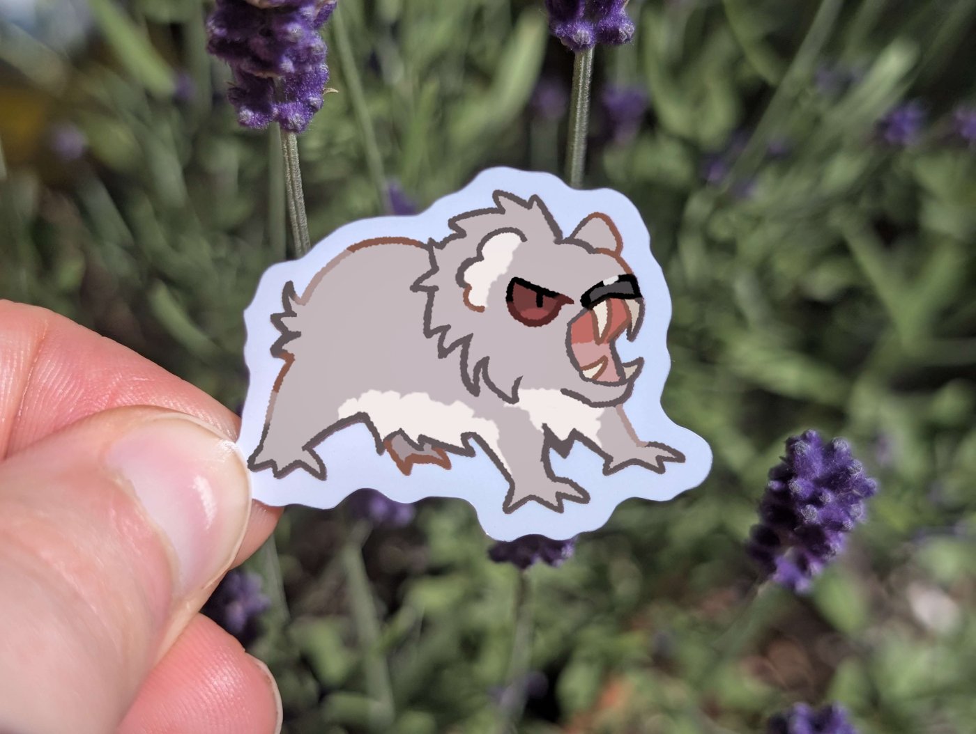 69a53347e6f476195c1e68ac_dropbear-mockup_1779943584218.jpg