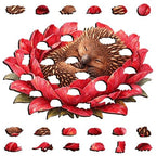 69a53347e6f476195c1e68ac_echidna-crimson-2_1792369250073.jpg