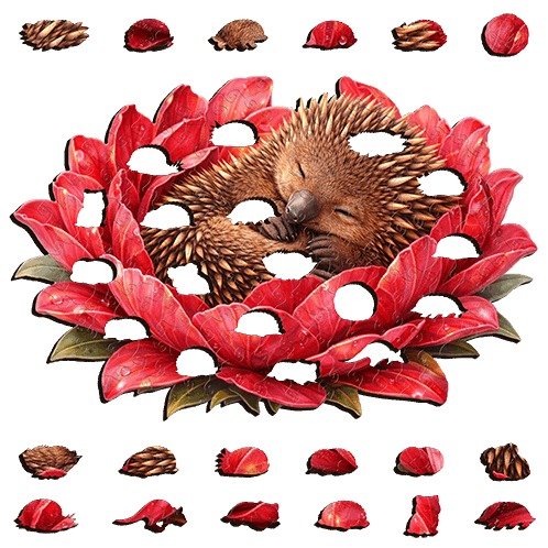 69a53347e6f476195c1e68ac_echidna-crimson-2_1792369250073.jpg