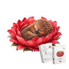 69a53347e6f476195c1e68ac_echidna-crimson_1792369241459.jpeg