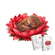 69a53347e6f476195c1e68ac_echidna-crimson_1792369241459.jpeg