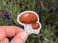 69a53347e6f476195c1e68ac_fly-agaric-mockup_1779943941017.jpg