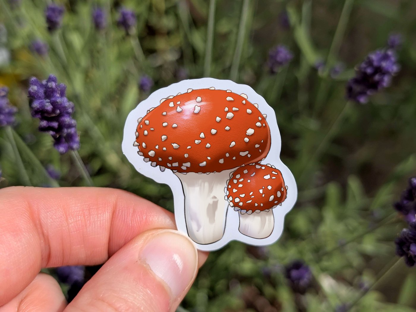 69a53347e6f476195c1e68ac_fly-agaric-mockup_1779943941017.jpg