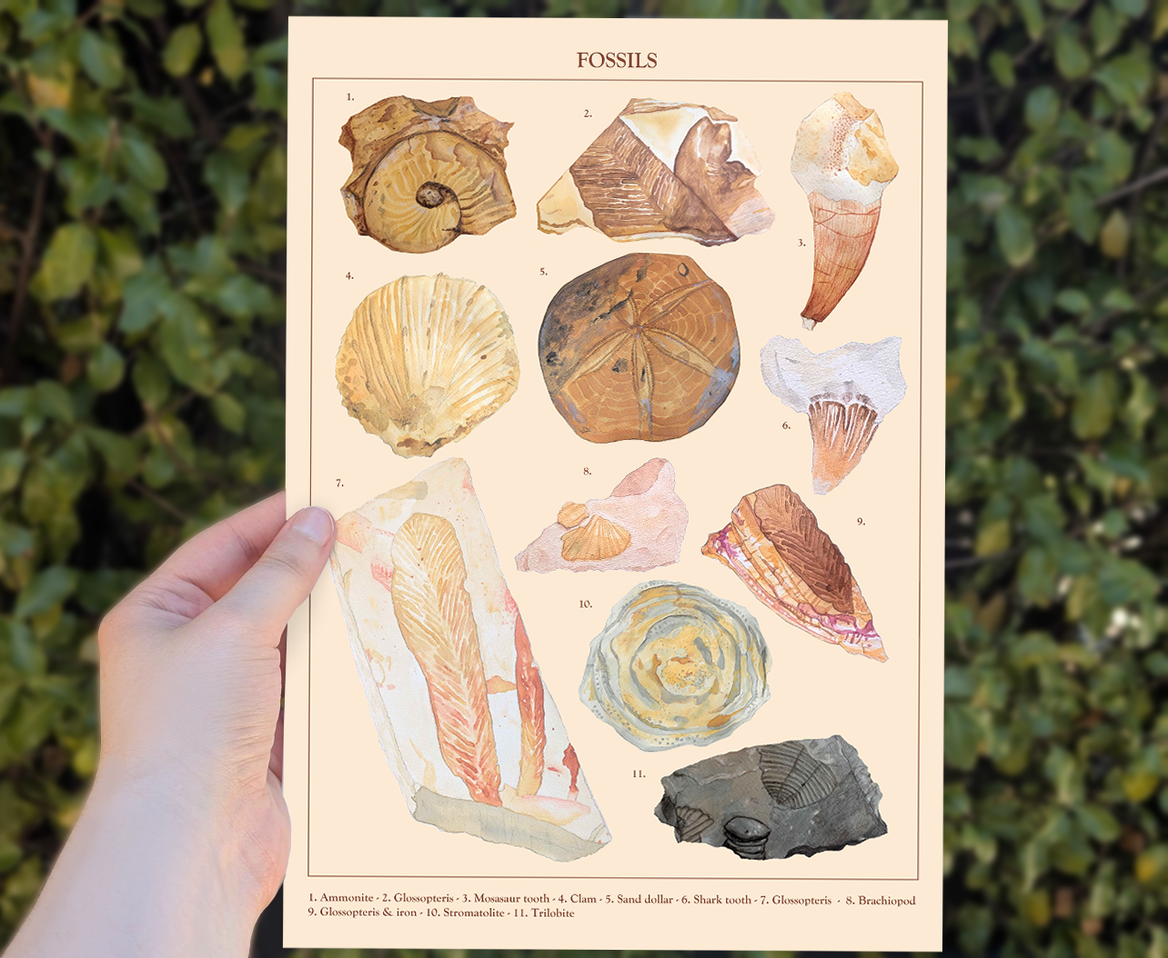 69a53347e6f476195c1e68ac_fossil-poster-mockup-1_1786005999880.png
