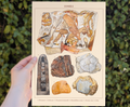 69a53347e6f476195c1e68ac_fossil-poster-mockup-2_1786005718433.png