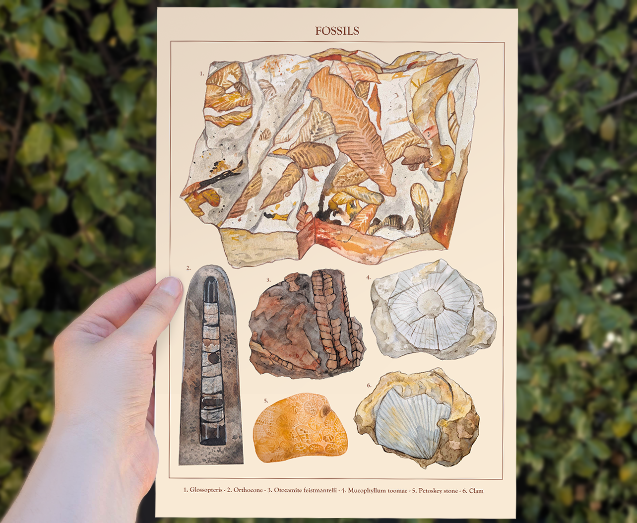 69a53347e6f476195c1e68ac_fossil-poster-mockup-2_1786005718433.png