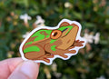 69a53347e6f476195c1e68ac_frog-mockup_1779939004351.jpg
