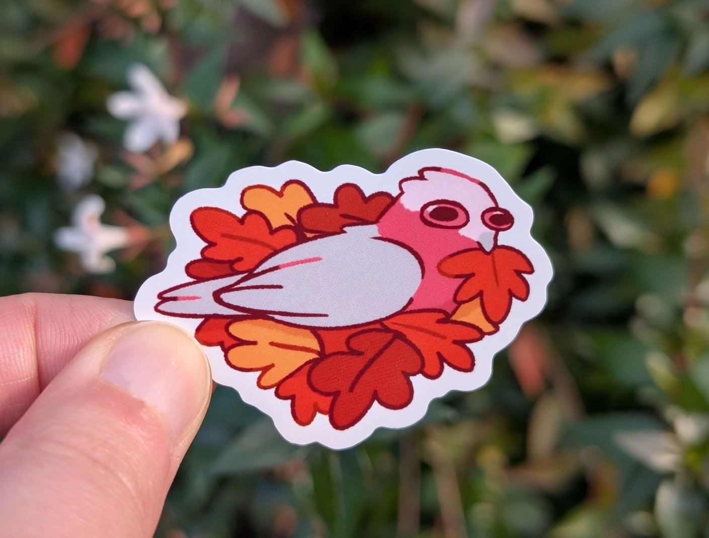 69a53347e6f476195c1e68ac_galah-mockup_1780481632071.jpg