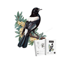 69a53347e6f476195c1e68ac_magpie_1780582661132.png