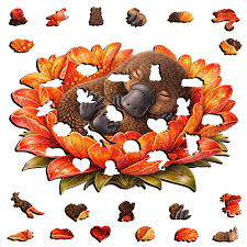 69a53347e6f476195c1e68ac_platypus-autumn-2_1792369987713.jpeg