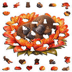 69a53347e6f476195c1e68ac_platypus-autumn-2_1792369987713.jpeg