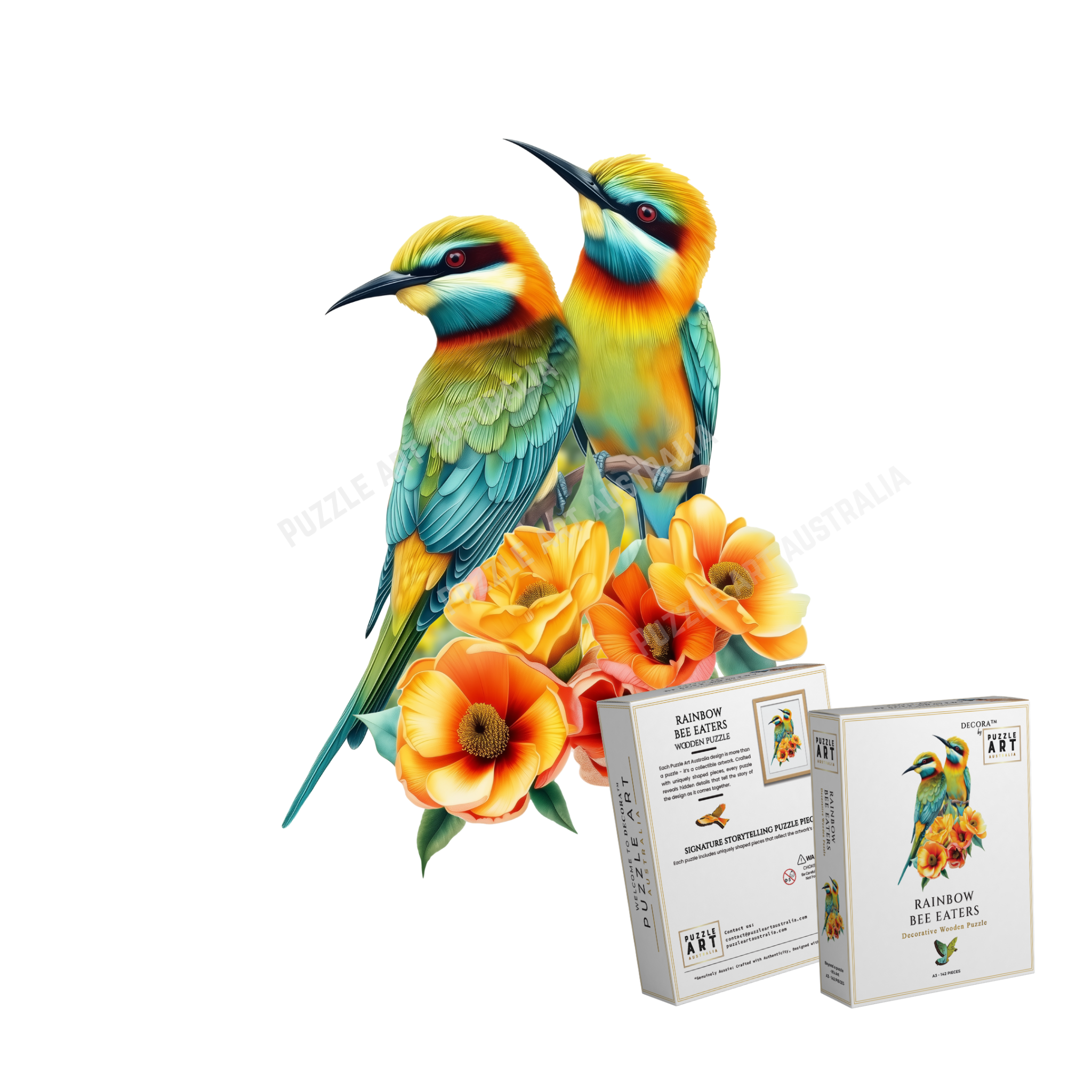 69a53347e6f476195c1e68ac_rainbow-bee-eaters_1780582097822.png