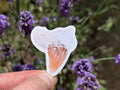 69a53347e6f476195c1e68ac_shark-tooth-mockup_1780482360818.jpg