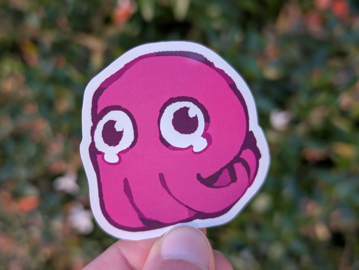 69a53347e6f476195c1e68ac_squid-mockup-2_1780572361536.jpg