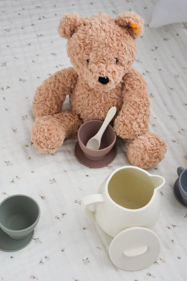 69a53347e6f476195c1e68ac_teddy-bear-picnic_1780890276147.jpeg