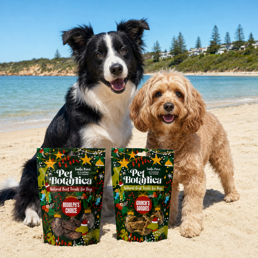 Rudolph's Choice Christmas Beef Treats for Dogs | Gift