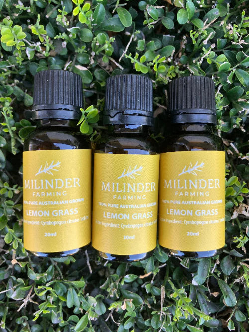 Essential Oil