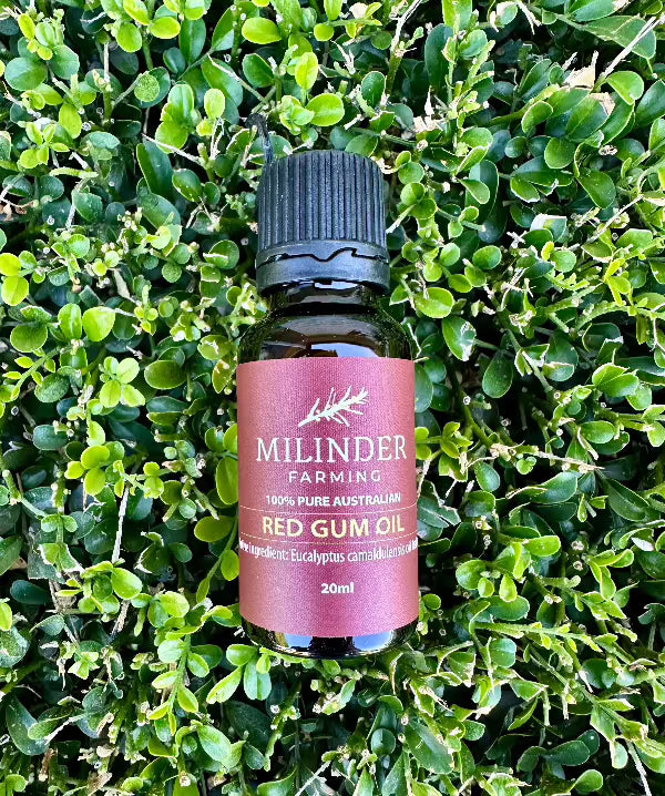 Essential Oil