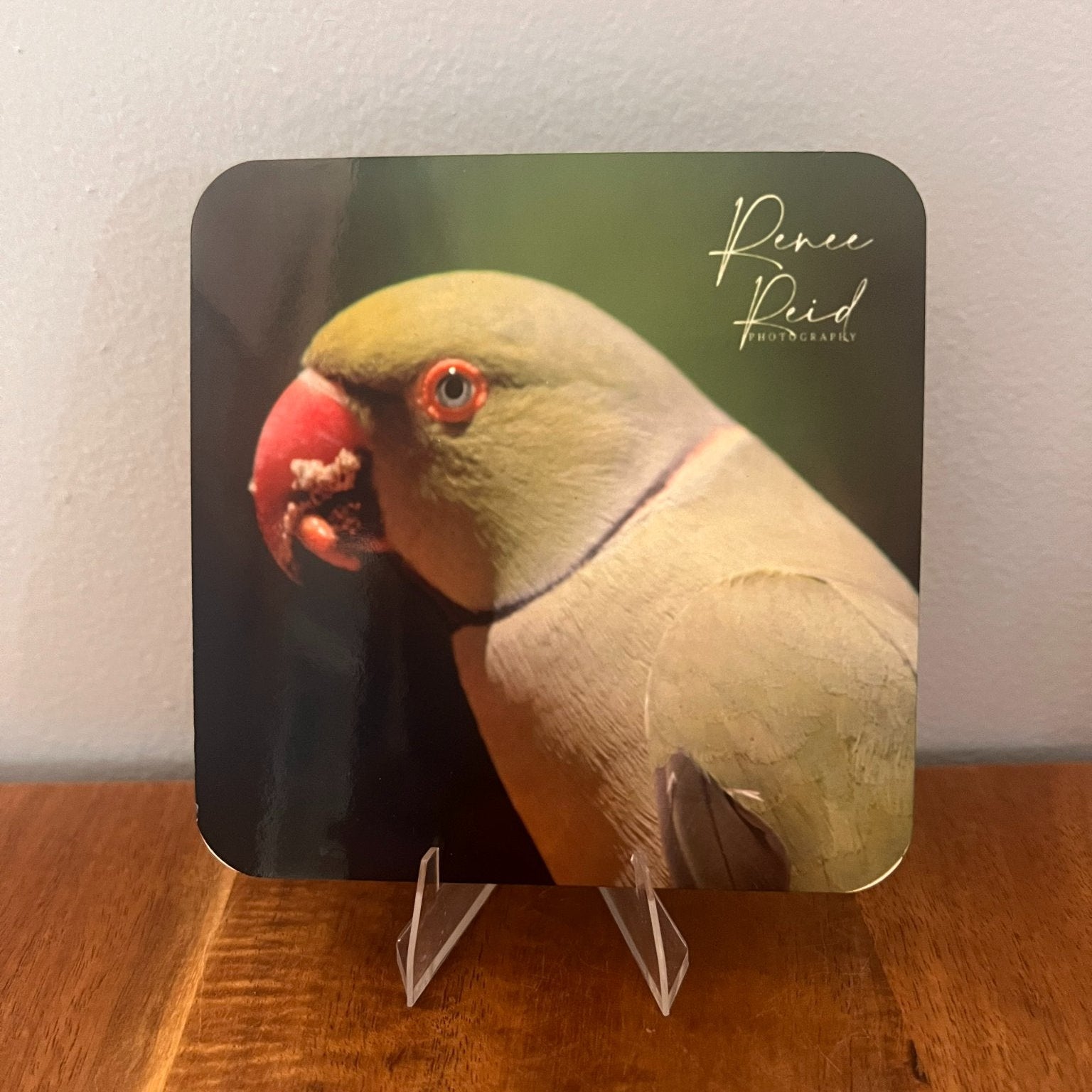 Coaster with a parrot design on a wooden surface
