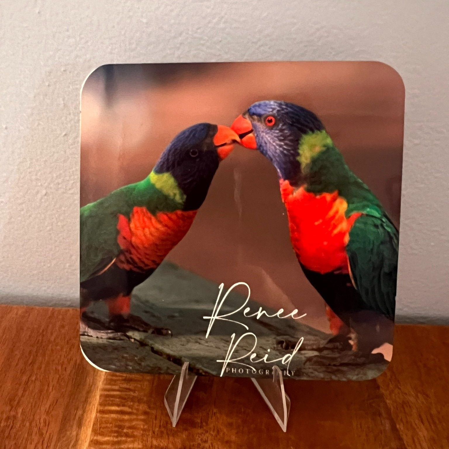 Decorative coaster with two parrots and 'Pierce Reid Photography' branding on a wooden surface.