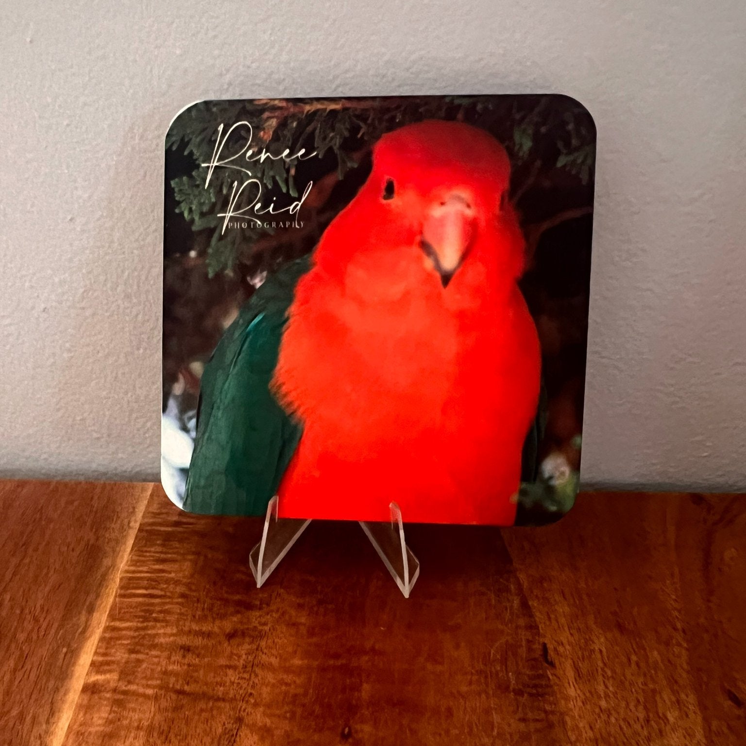 Decorative coaster with a red parrot design on a wooden surface
