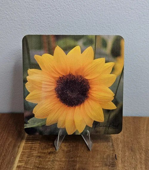 Sunflower coaster on a stand with a blurred background