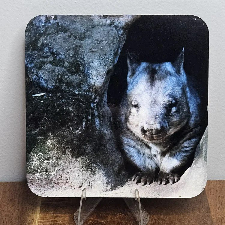 Square coaster with a wombat design on a stand against a white wall.