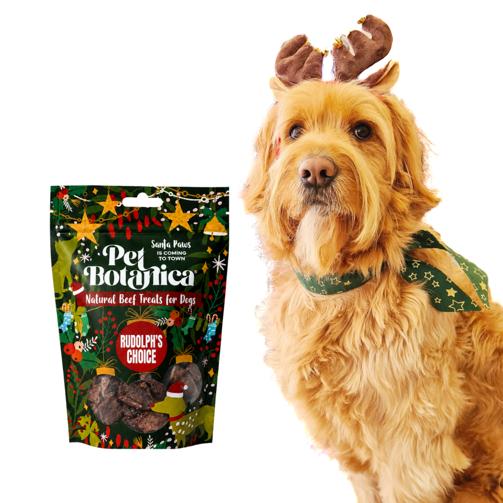 Rudolph's Choice Christmas Beef Treats for Dogs | Gift