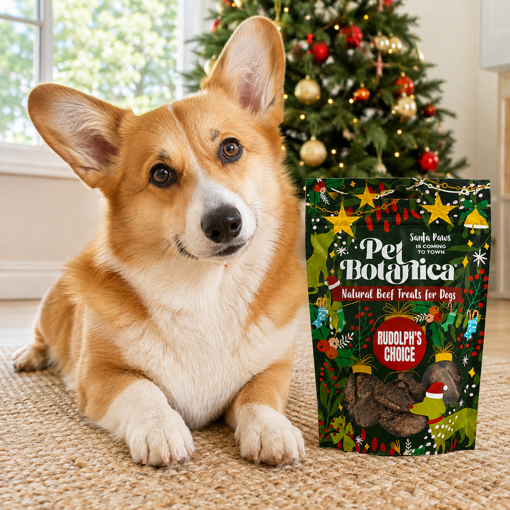 Rudolph's Choice Christmas Beef Treats for Dogs | Gift