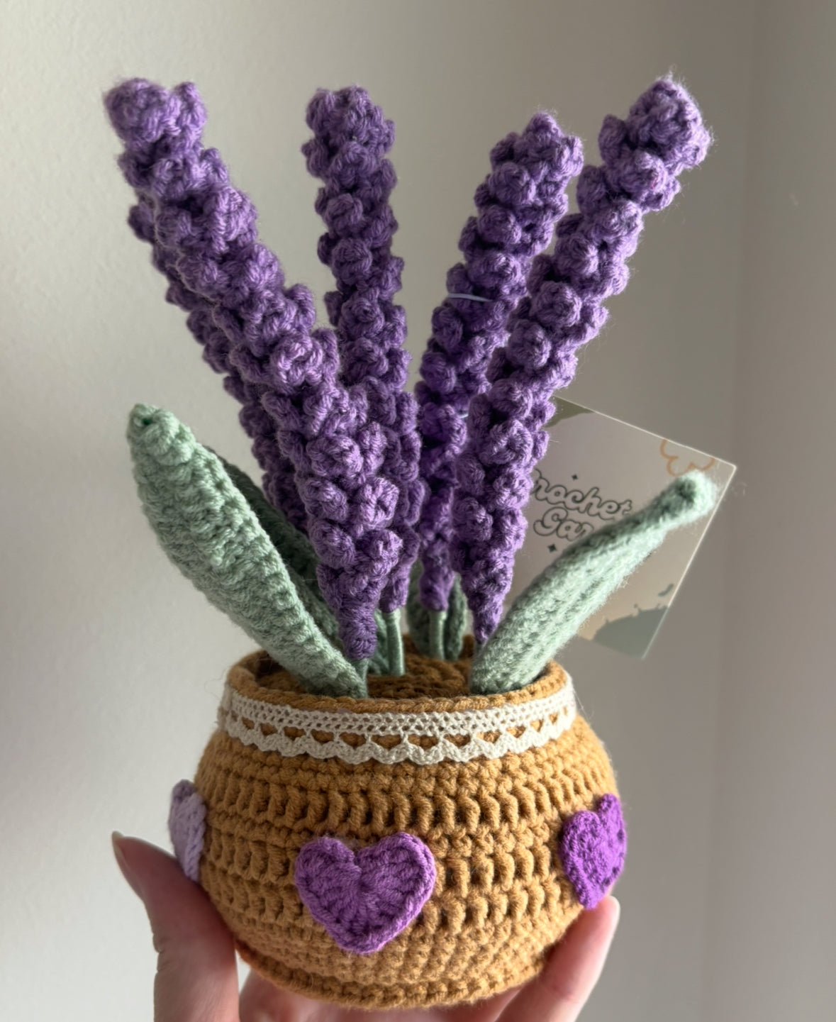 CGC Lavender pot (L) $45