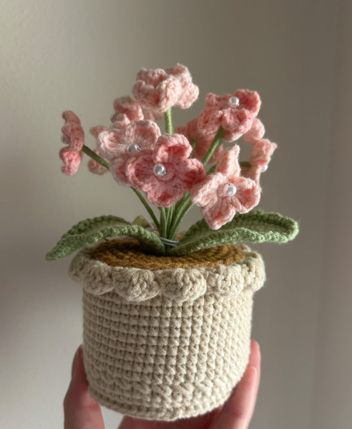 CGC Hydrangeas pot (M) $39