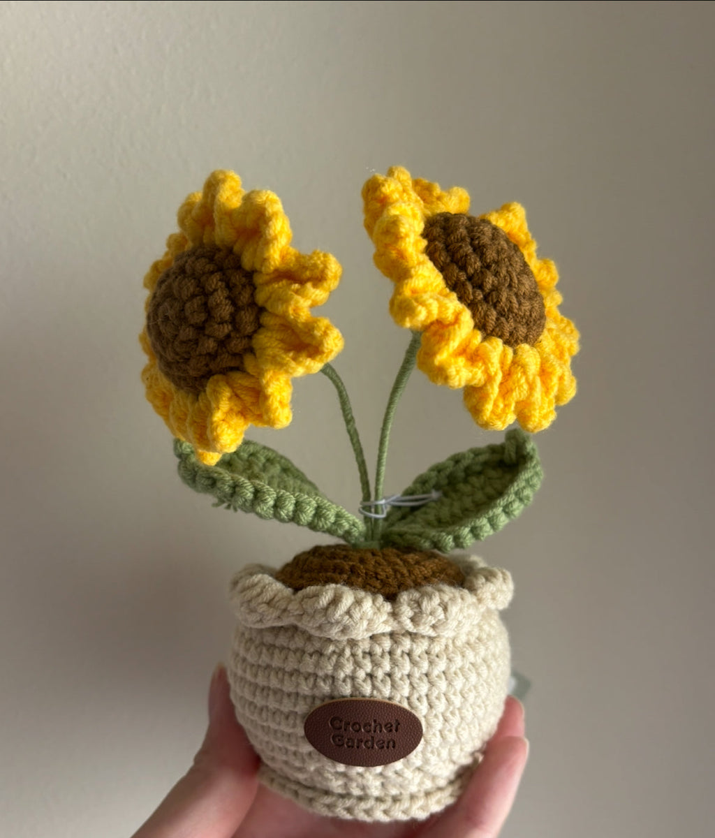 CGC Sunflowr pot (2s)