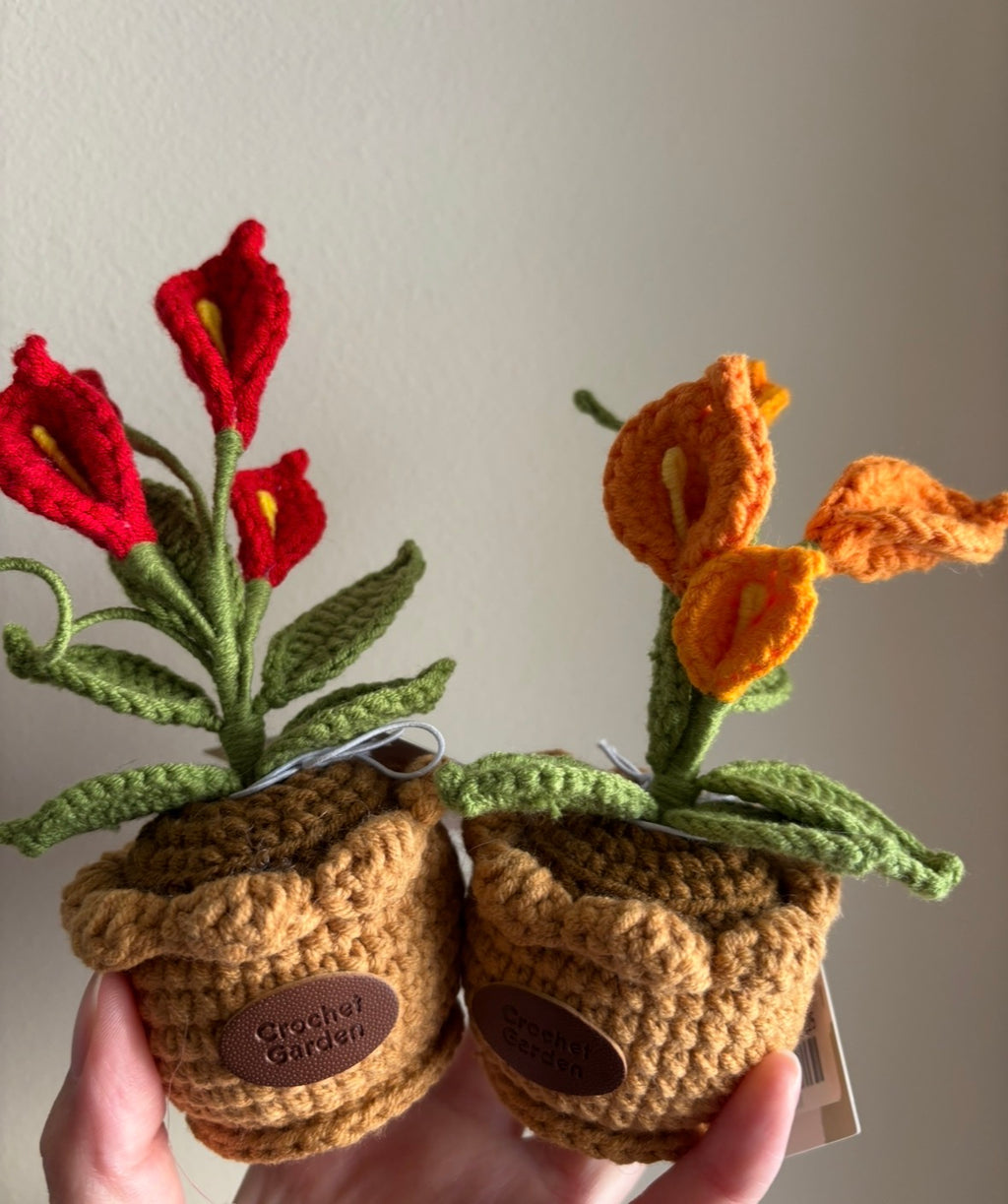 CGC Calla pot (s)