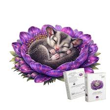 A sleeping baby dragonfly nestled inside a large purple flower, with two small product boxes shown in front on a plain white background.