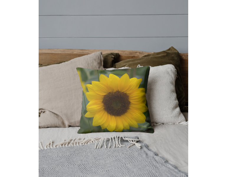 Cushion Cover