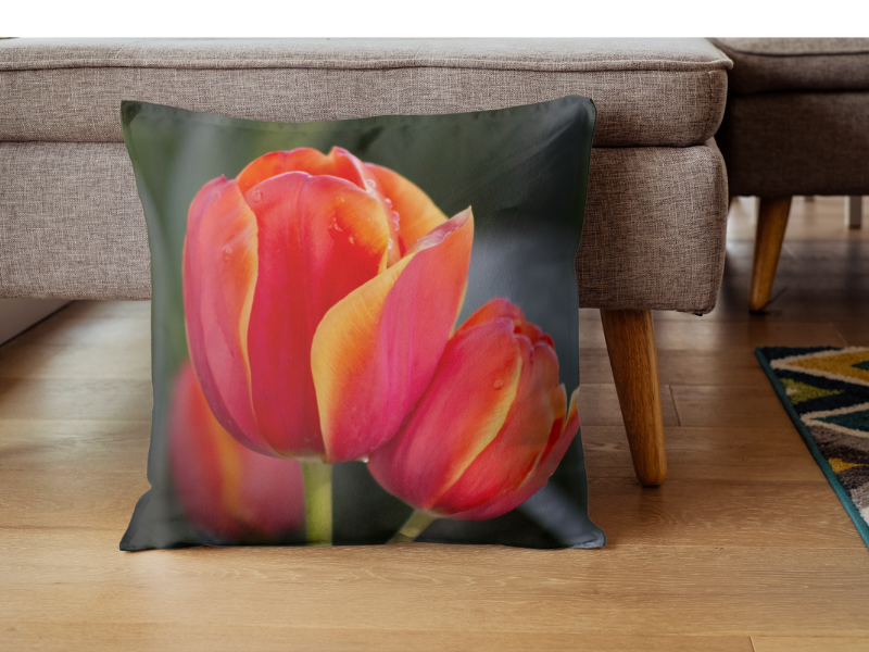 Cushion Cover